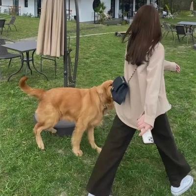 间谍粉碎者